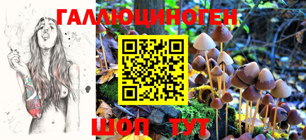 ТГК Сертолово