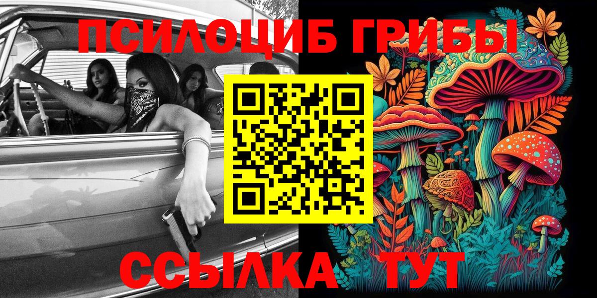 Сертолово  Галлюциногенные грибы GOLDEN TEACHER  Вход с VPN 